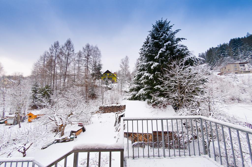Apartamenty Krystyna Wisla Bagian luar foto