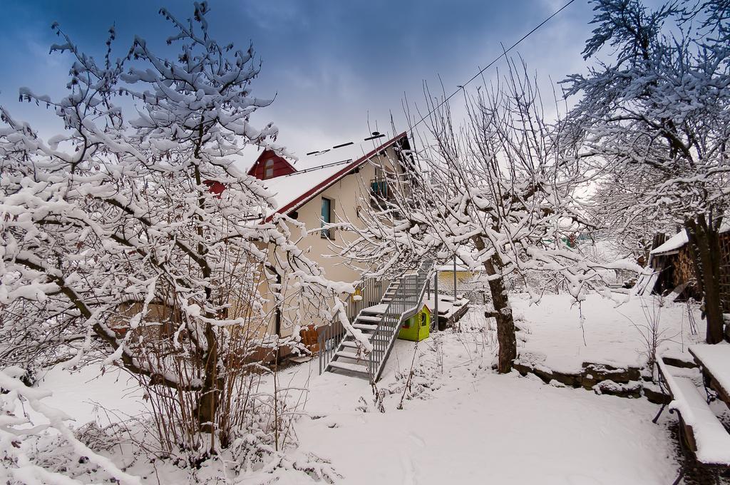 Apartamenty Krystyna Wisla Bagian luar foto